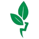 Star Electricals logo